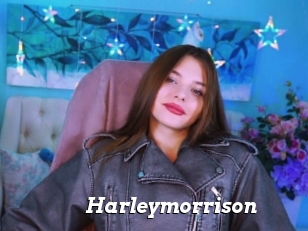 Harleymorrison