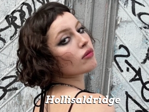 Hollisaldridge