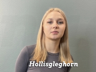 Hollisgleghorn