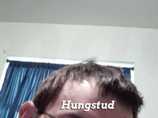 Hungstud