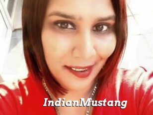 IndianMustang