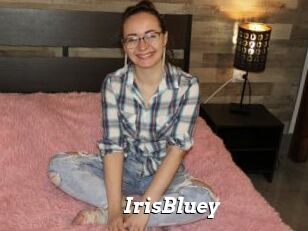 IrisBluey