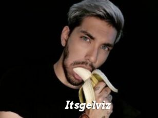 Itsgelviz
