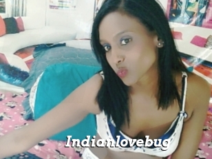 Indianlovebug