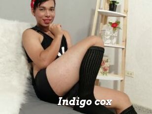 Indigo_cox