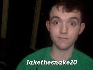 Jakethesnake20