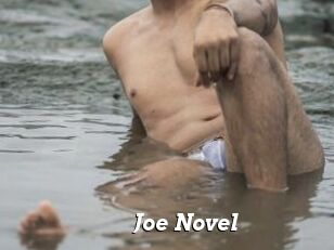 Joe_Novel