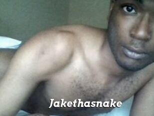 Jake_tha_snake