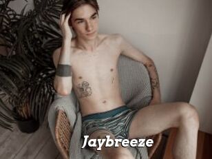 Jaybreeze