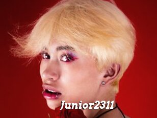 Junior2311