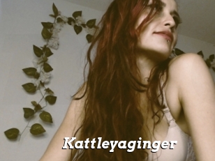 Kattleyaginger