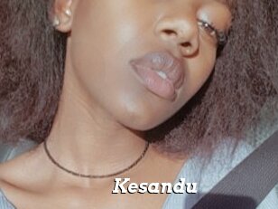 Kesandu