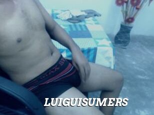 LUIGUISUMERS