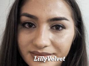 LillyVelvet