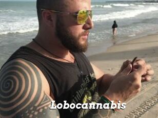 Lobocannabis