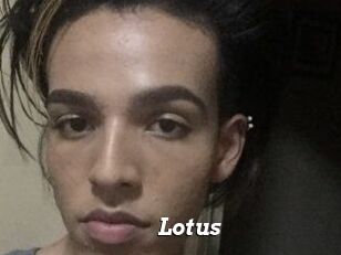 Lotus
