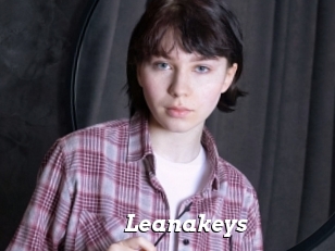 Leanakeys
