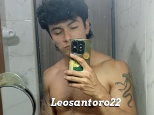Leosantoro22