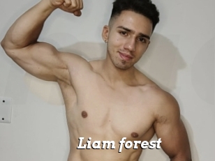 Liam_forest