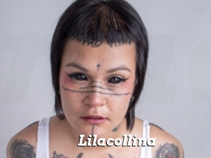 Lilacollina