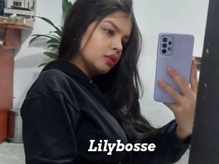Lilybosse