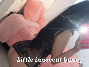 Little_innocent_bunny