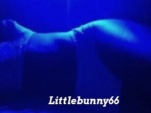 Littlebunny66