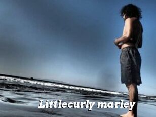 Littlecurly_marley