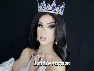 Littlesamm