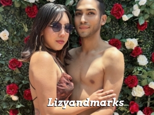 Lizyandmarks
