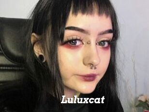 Luluxcat