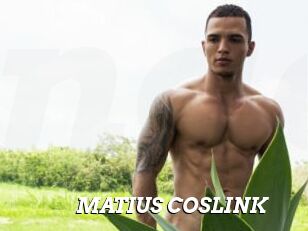 MATIUS_COSLINK