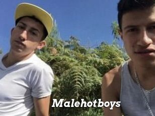 Malehotboys