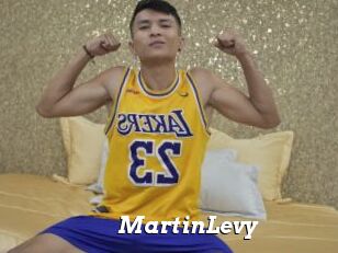 MartinLevy