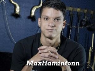 MaxHamintonn