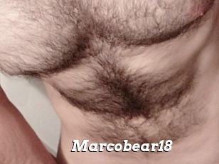 Marcobear18