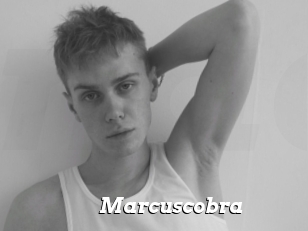 Marcuscobra