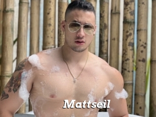mattseil Nice and quite