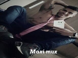 Maxi_mux