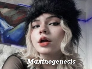Maxinegenesis