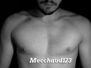 Mecchaud123
