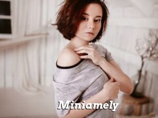 Miniamely
