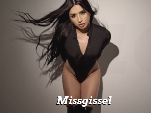 Missgissel