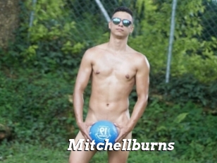 Mitchellburns