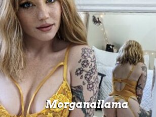 Morganallama