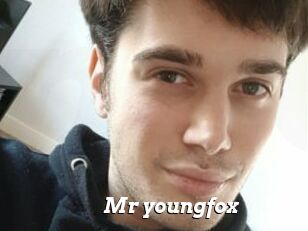 Mr_youngfox