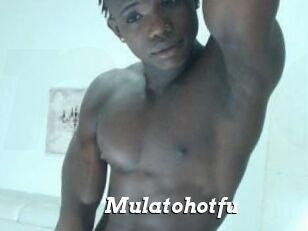 Mulatohotfu