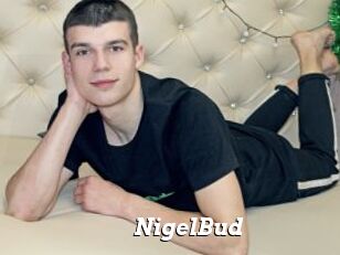 NigelBud