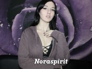 Noraspirit