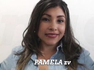 PAMELA_zv